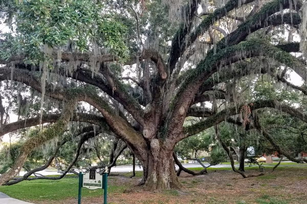 Loch Haven Park photo 2